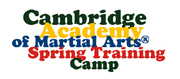 spring camp logo